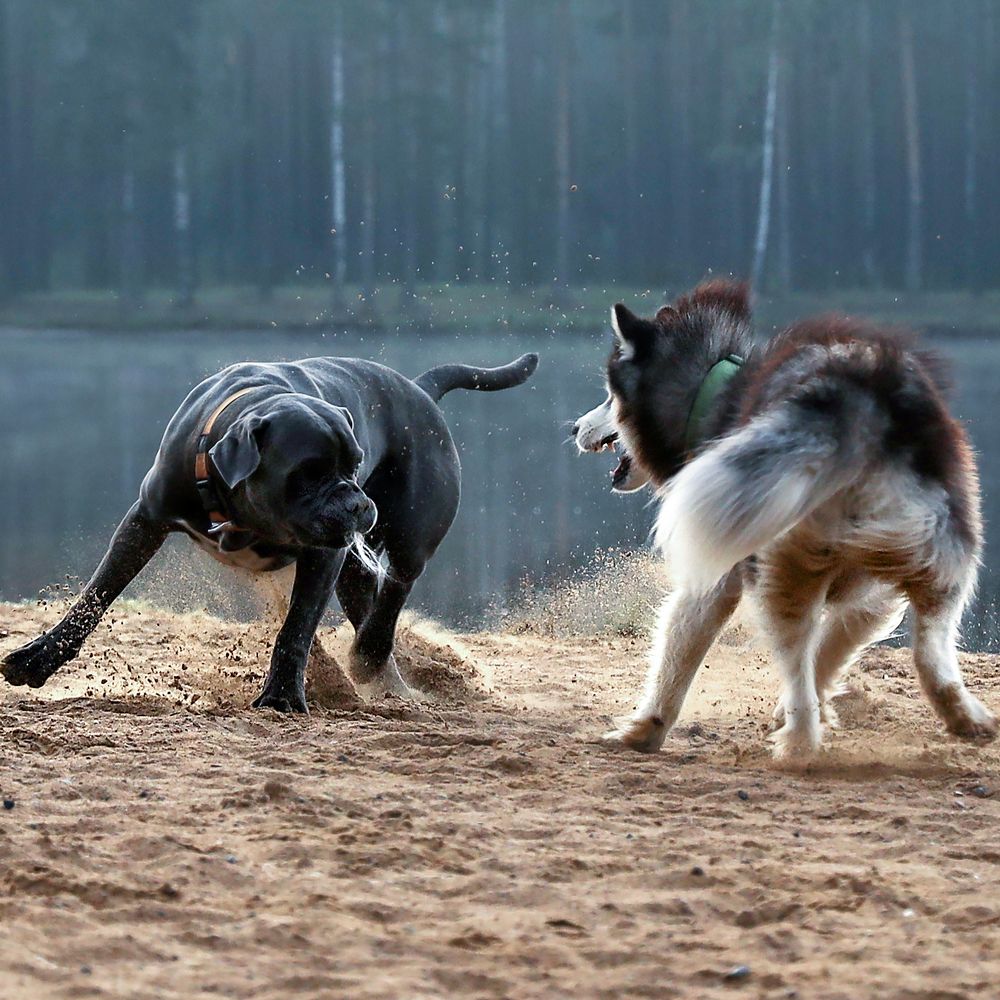 Photograph by Наталья Суслова