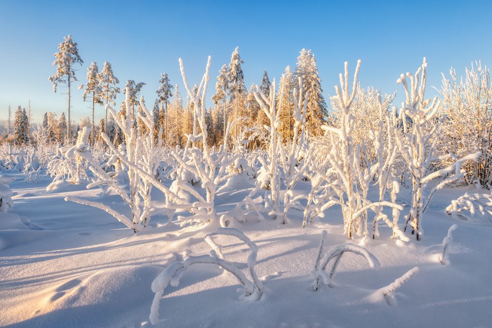 Photograph by Владимир Колесников