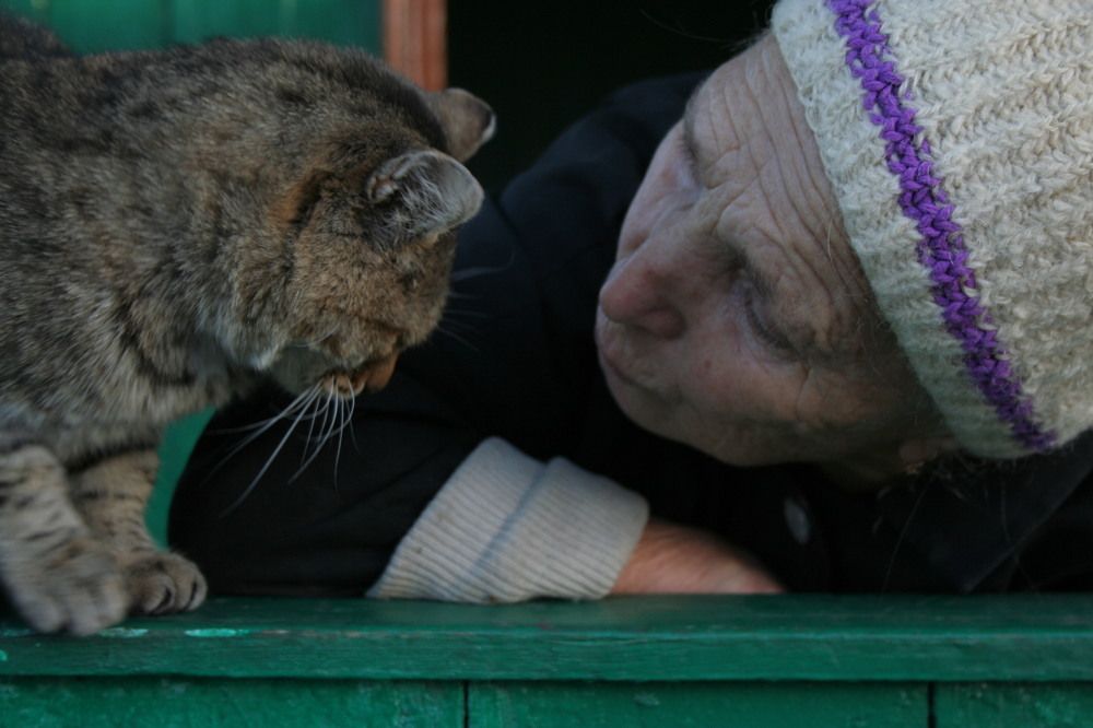 Photograph by Фарит Зиатдинов