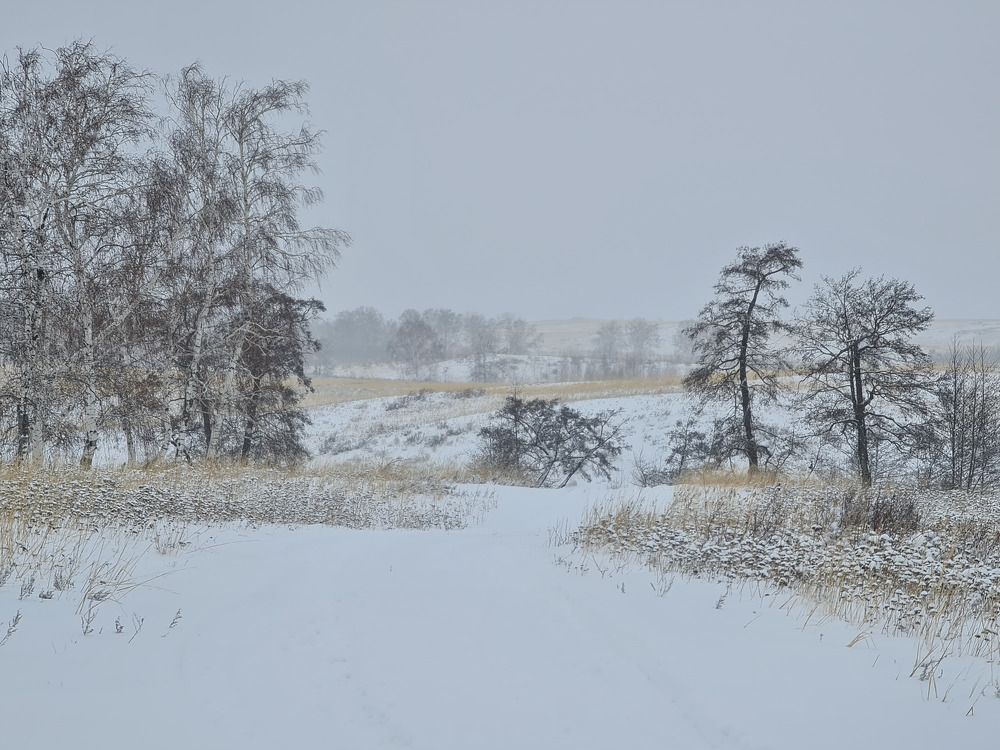 Фотография автора Валентин Науменков