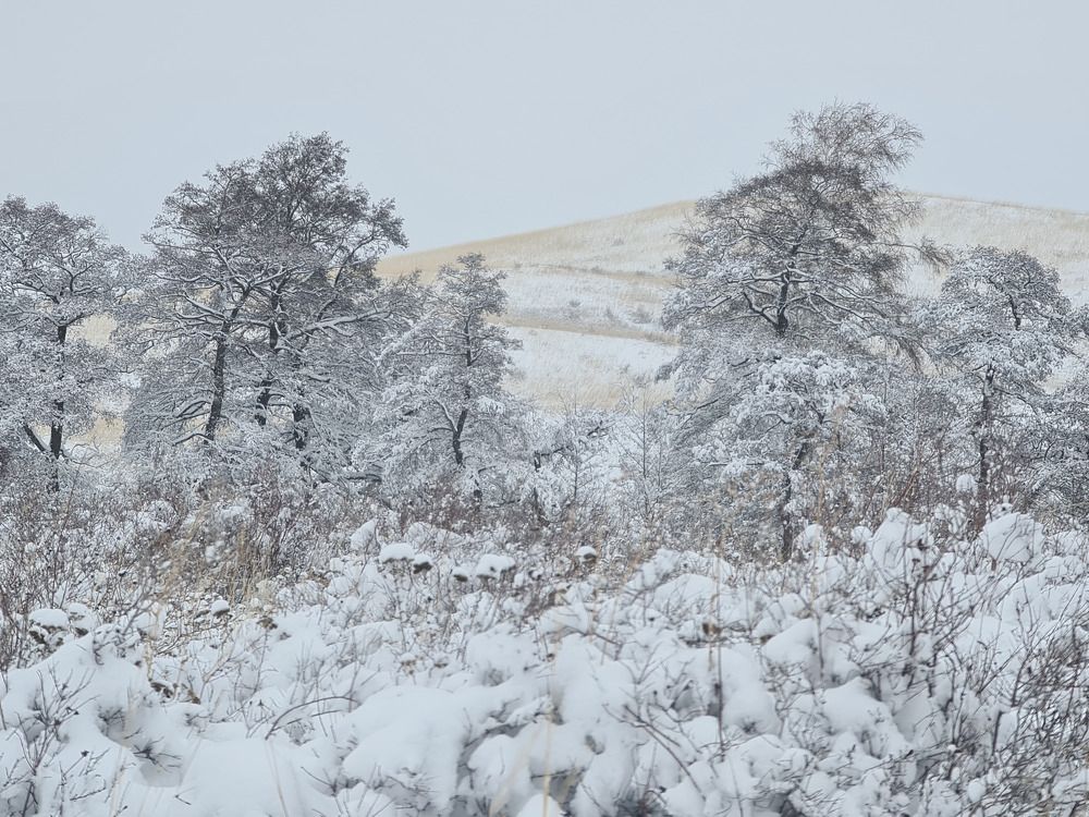 Фотография автора Валентин Науменков