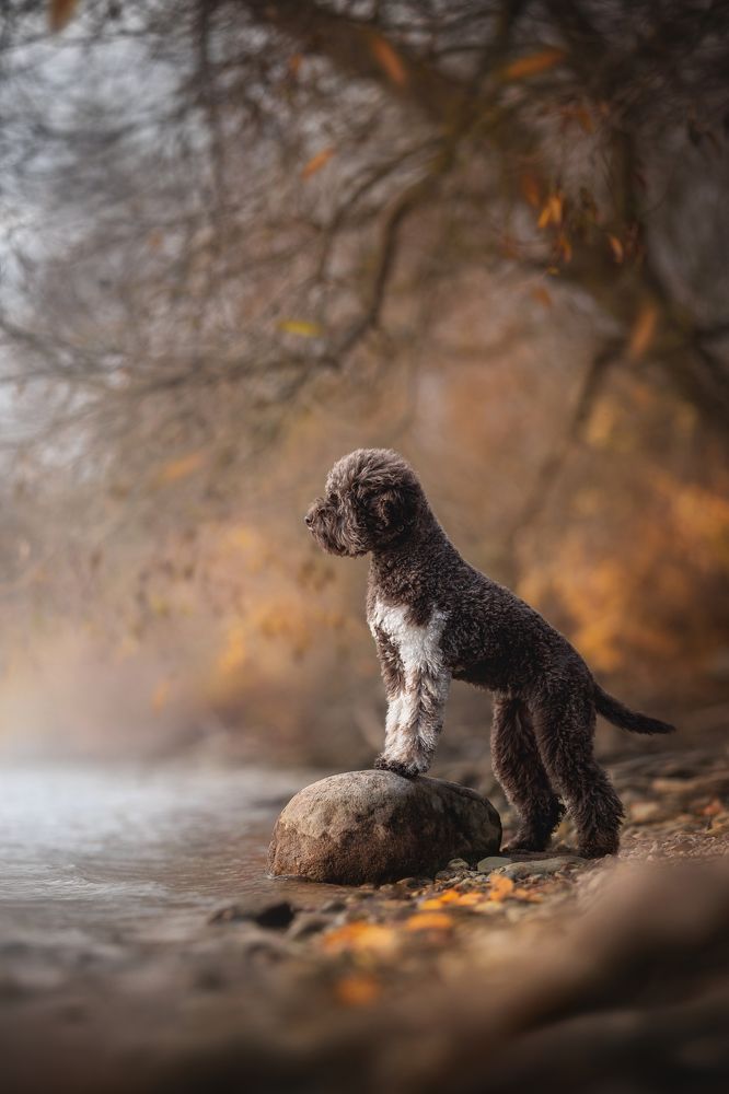 Photograph by Людмила Богуш