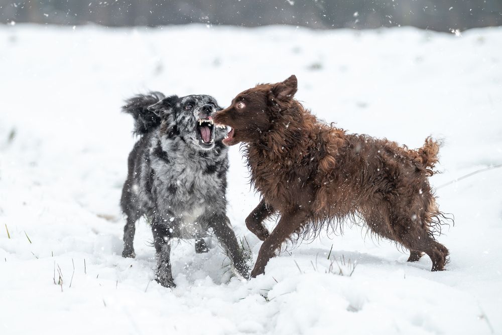 Photograph by Zsuzsanna Kata Fürstné Horváth