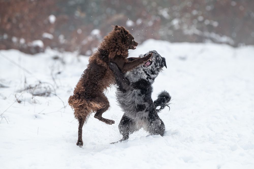 Photograph by Zsuzsanna Kata Fürstné Horváth