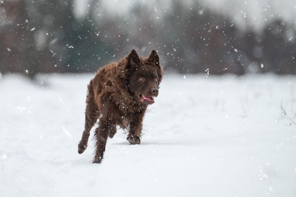 Photograph by Zsuzsanna Kata Fürstné Horváth