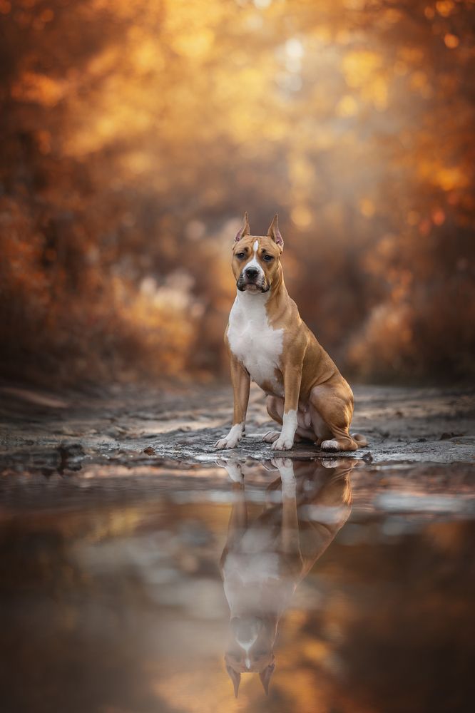 Photograph by Людмила Богуш