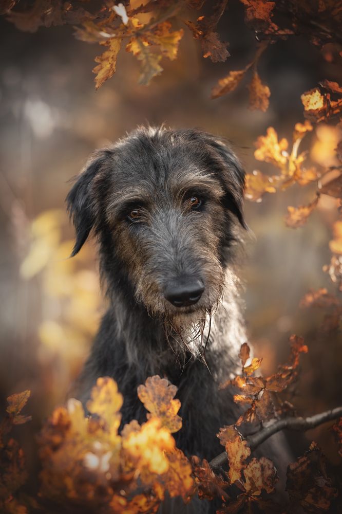 Photograph by Людмила Богуш