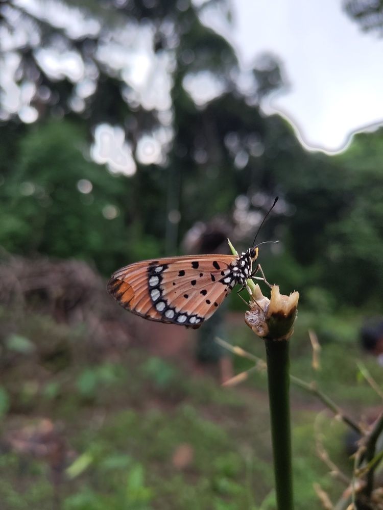 Photo #11748551