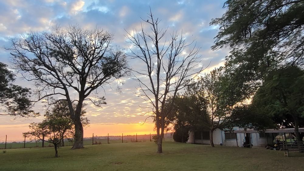 Photograph by Gilson Marcos Ferreira de OLIVEIRA