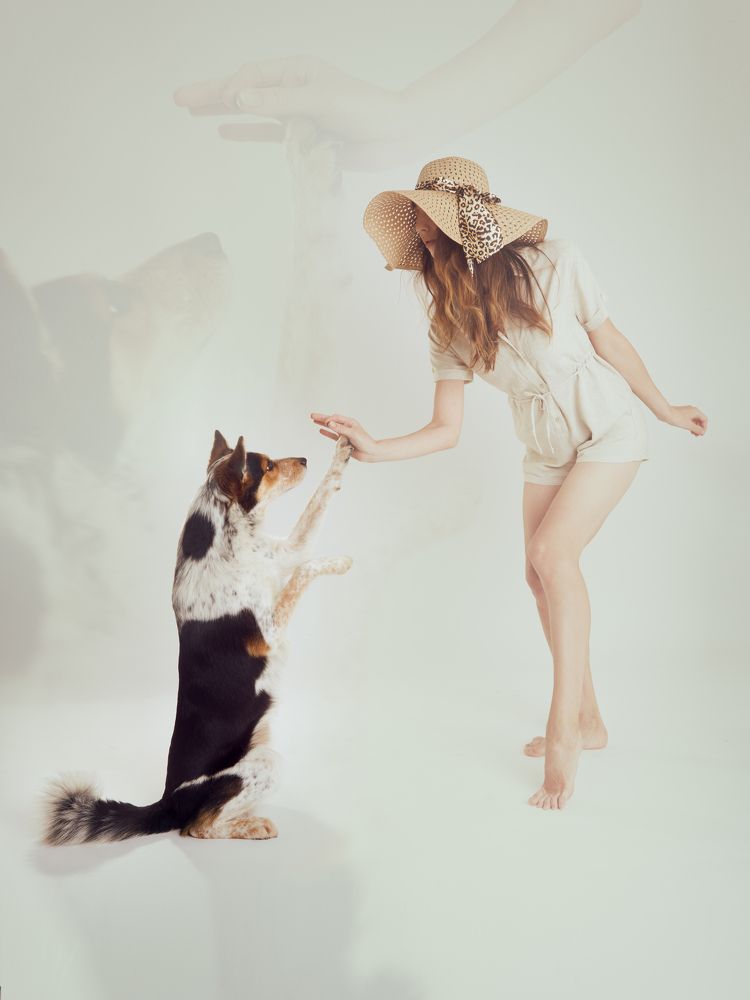 Photograph by Майя Ленская