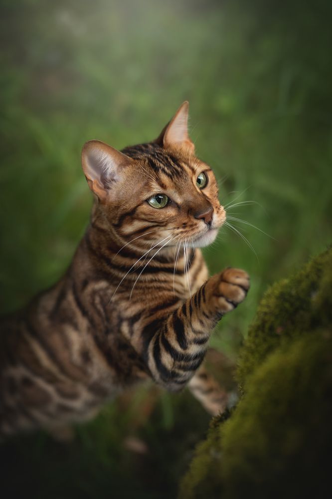 Photograph by Людмила Богуш