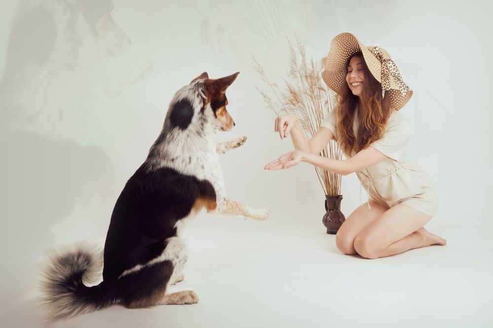 Photograph by Майя Ленская