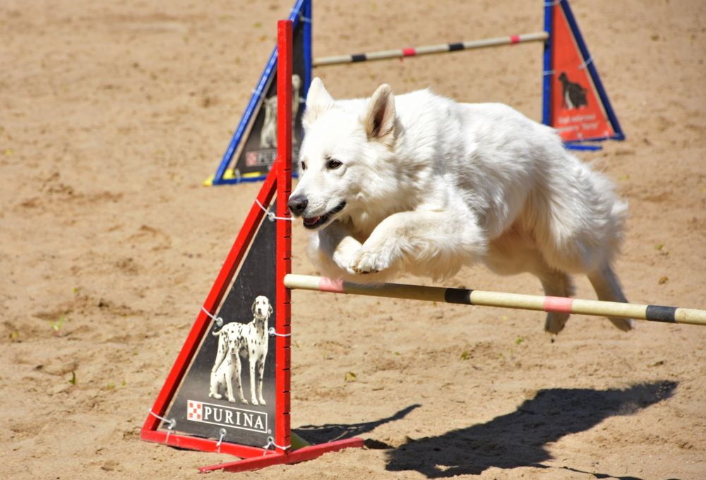 Барьер взят!