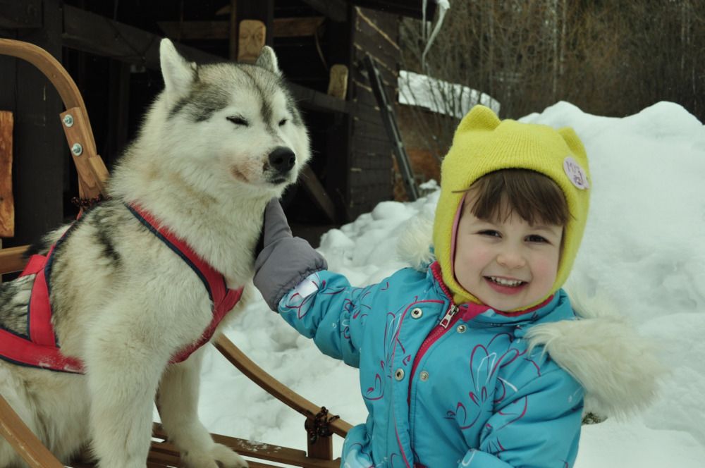 Фотография автора Кристина Киселёва