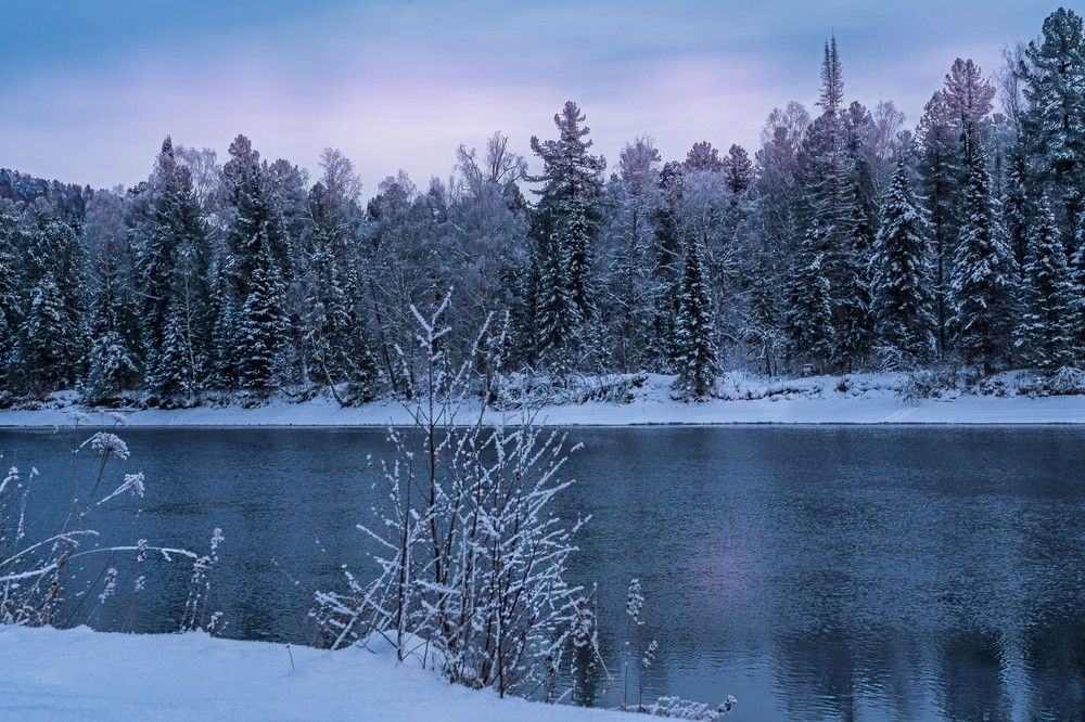 Photograph by Ольга Ченцова