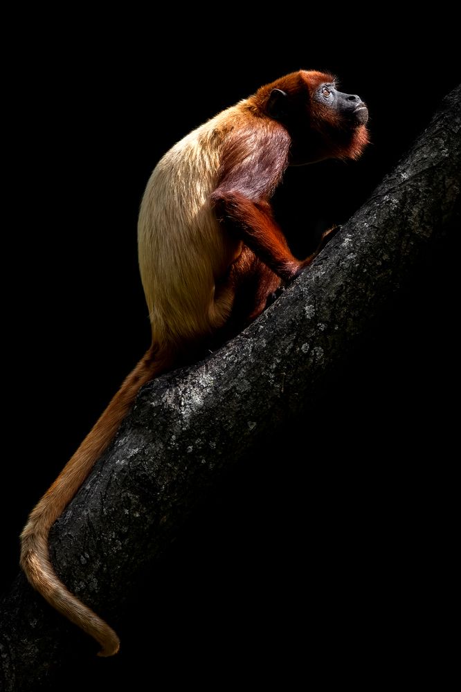 Photograph by Sandra De Bedout