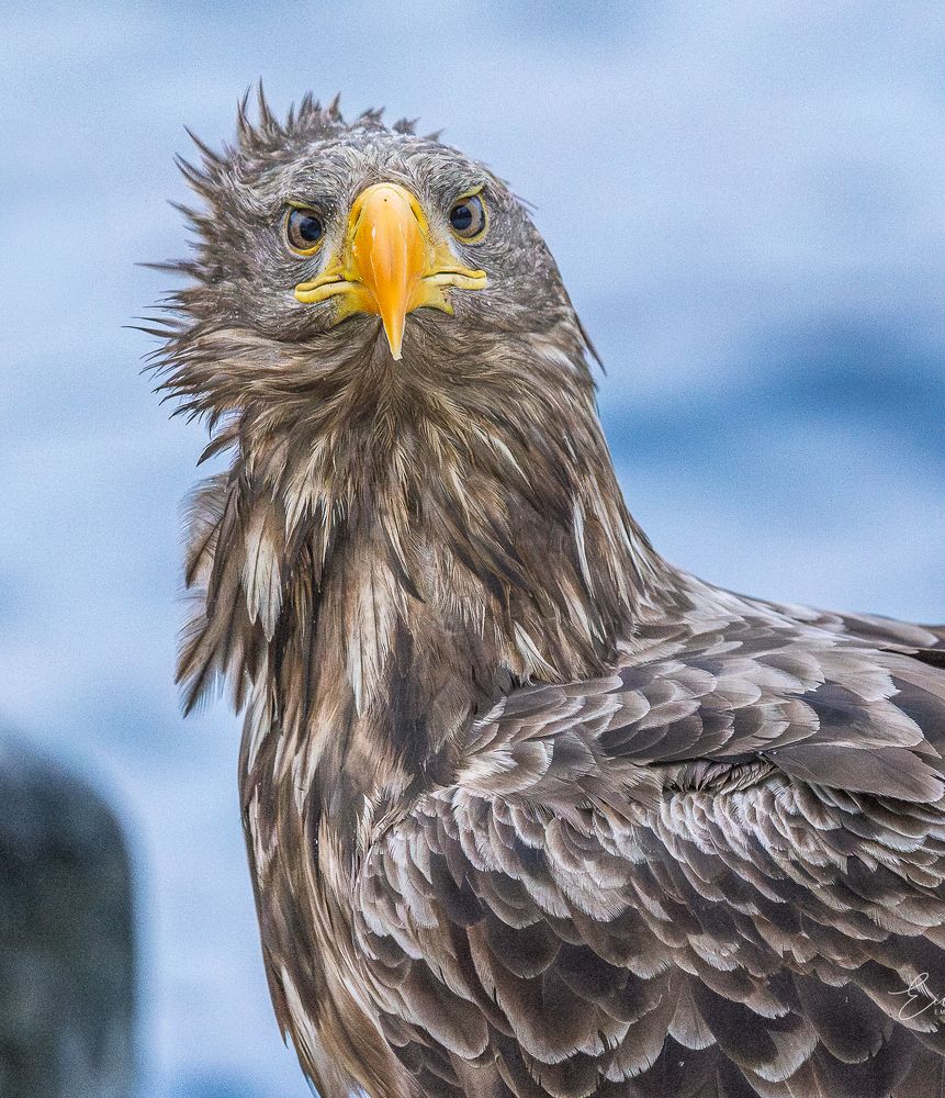 Photograph by Eivind M