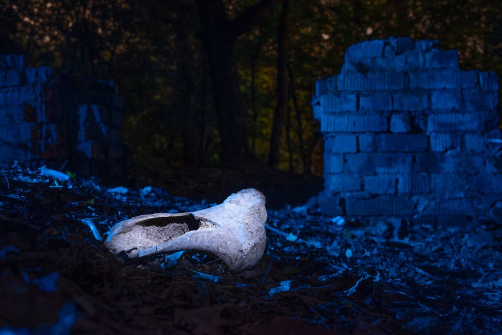 Photograph by Дмитрий Смирнов