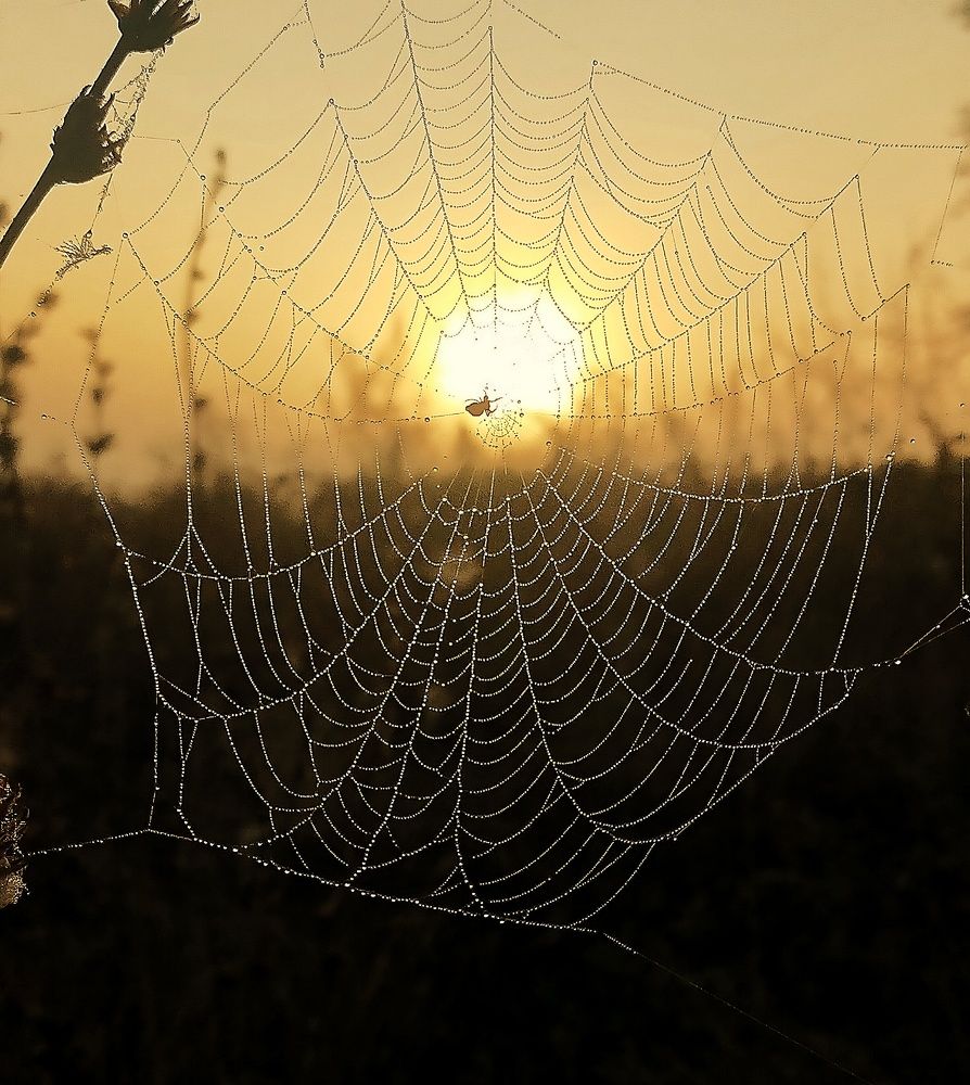 Photograph by Ольга Мартьянова