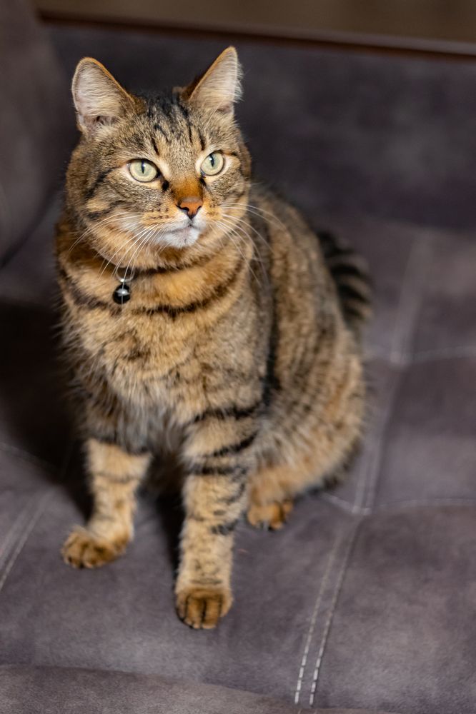 Фотография автора Андрей Арапов