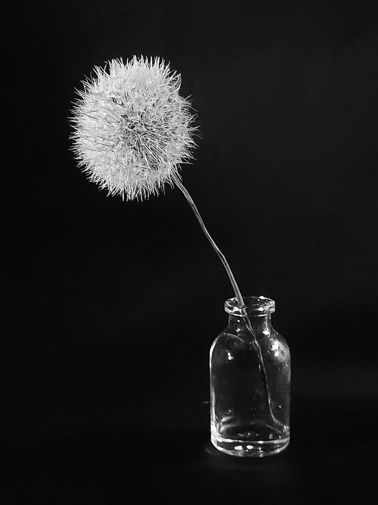 Photograph by Елена Кирикова