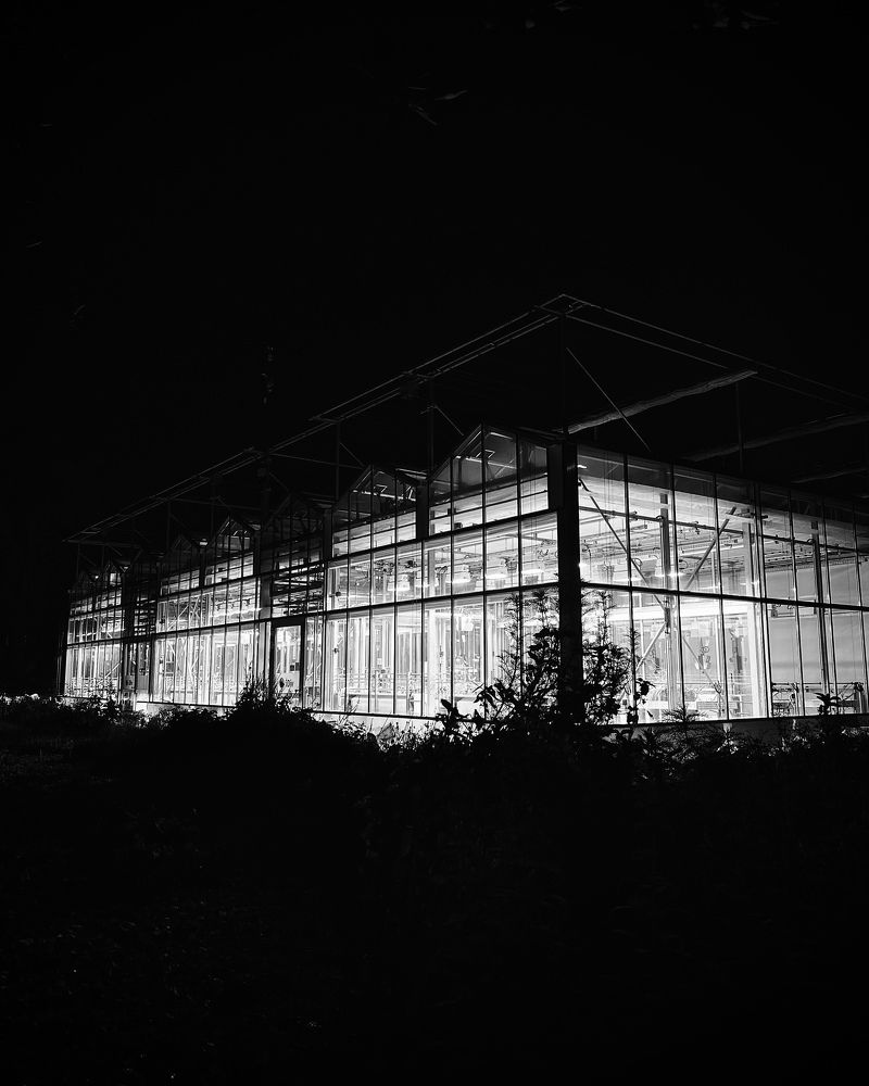 Photograph by Лейла