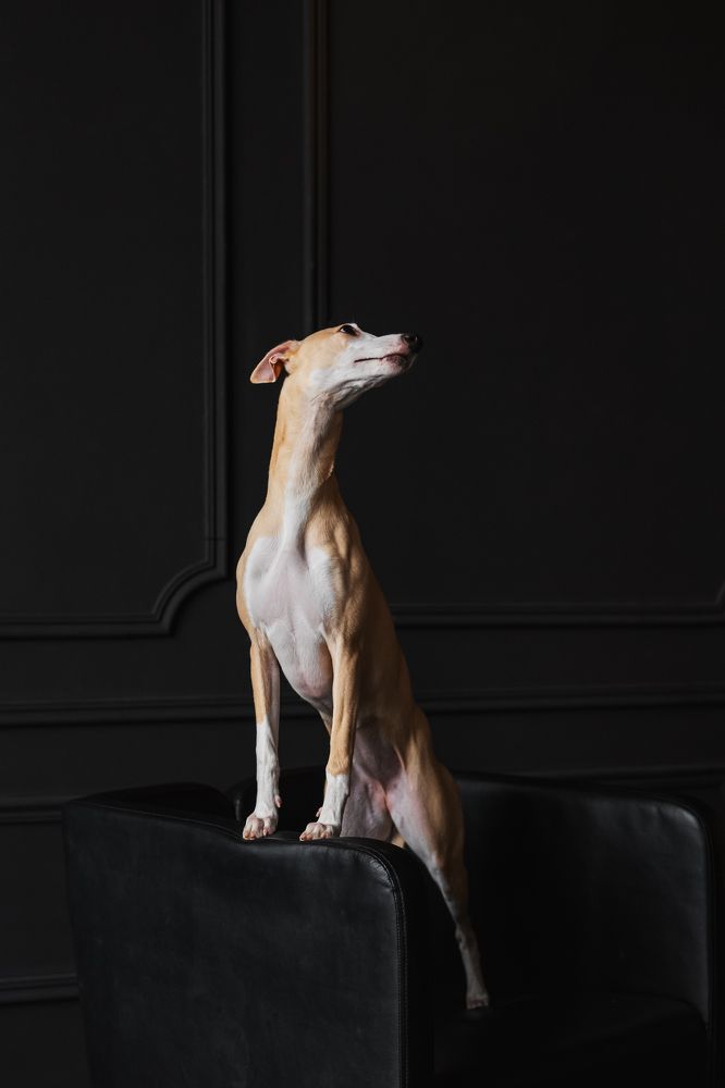 Photograph by Анна Кузнецова