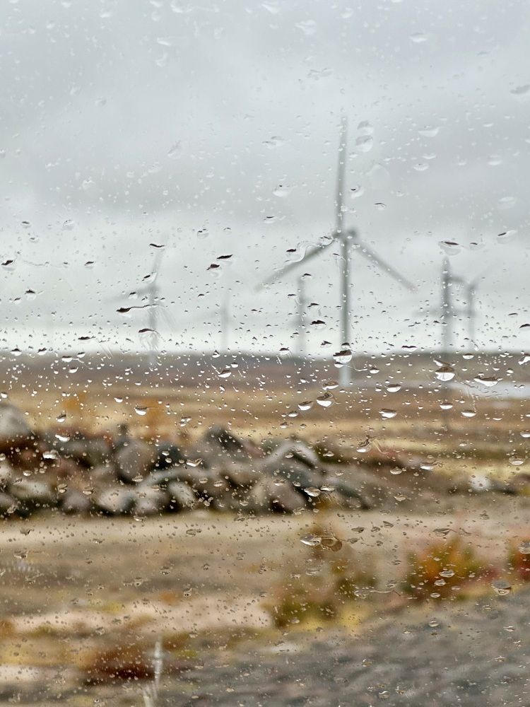 Photograph by Оксана Соколова