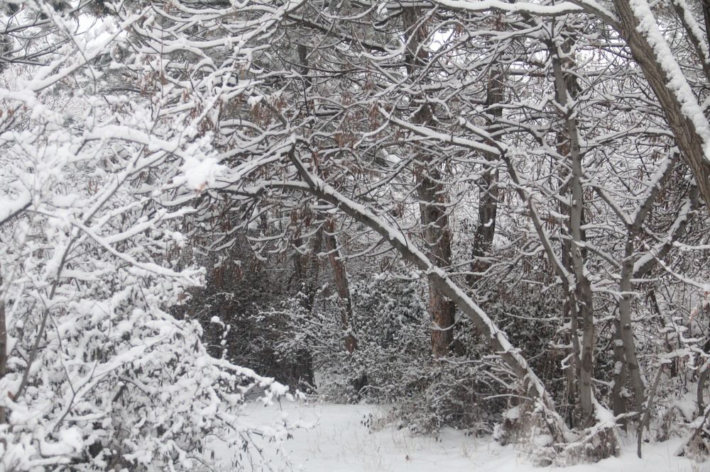 Photograph by Галина Гершман