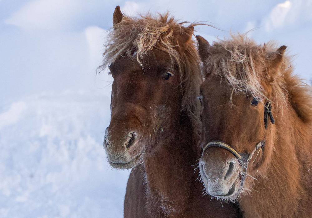 Фотография автора Viktoriya Kim