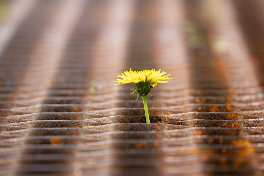 Photograph by Илья Сторожко