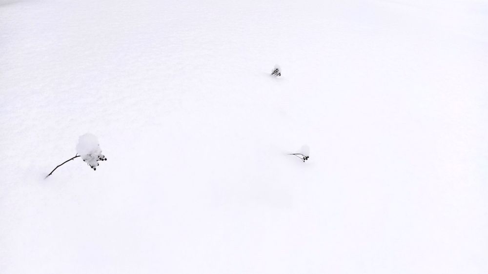 Photograph by Анастасия