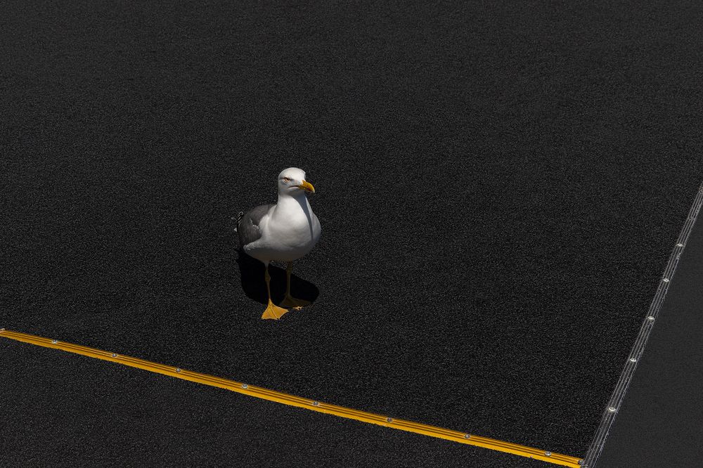 Photograph by Олег Болотников