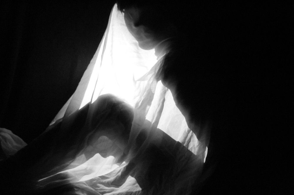 Photo #11748784