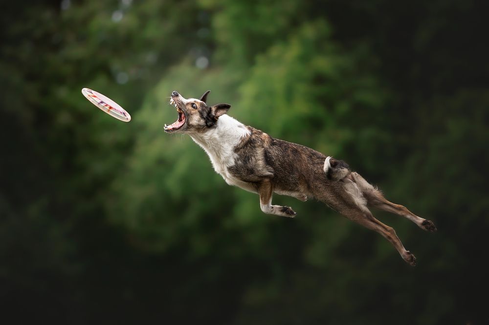 Photograph by Foscofotografie • Lotte van Alderen