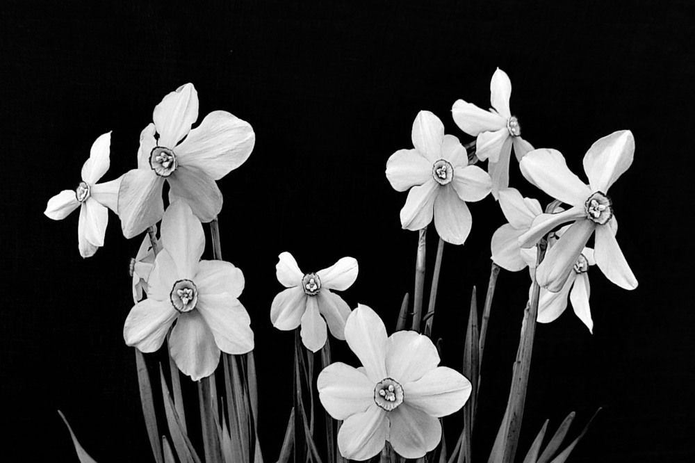 Photograph by Соколова Елена