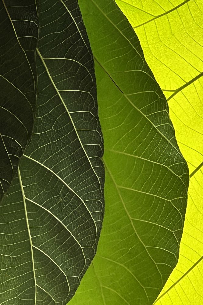 Photograph by ĐẶNG TRUNG NGÂN