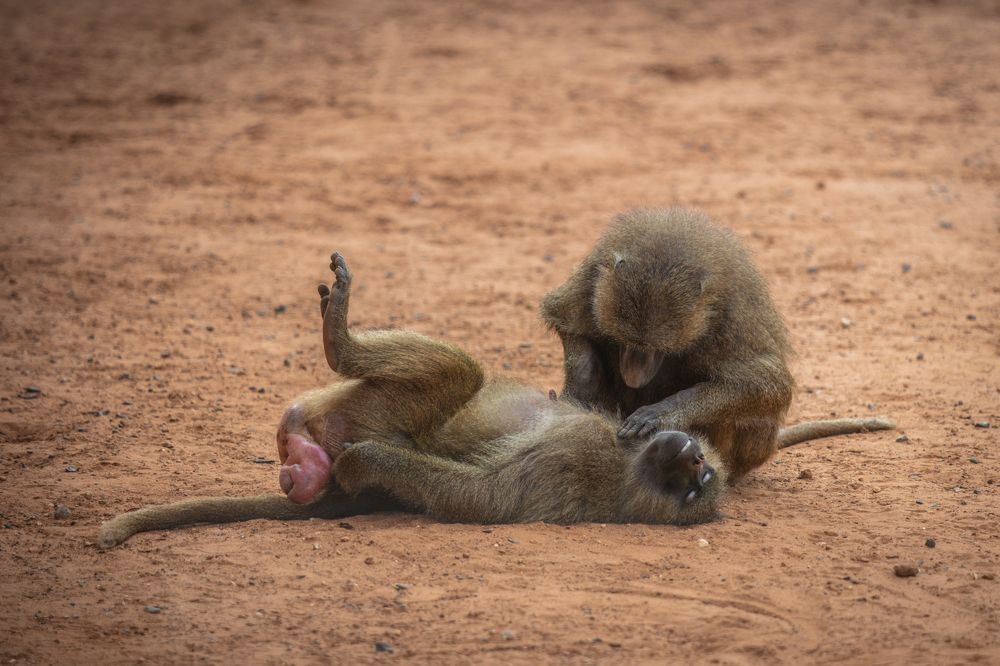 Photograph by SOUFIANE EL KADAOUI