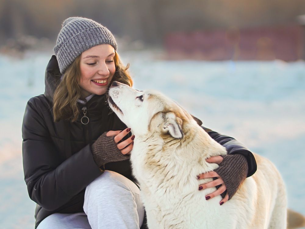 Photograph by Татьяна Шандромайло