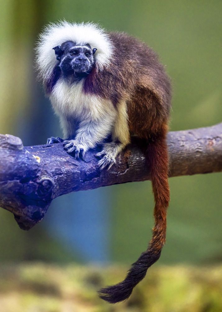 Фотография автора Clement Roy