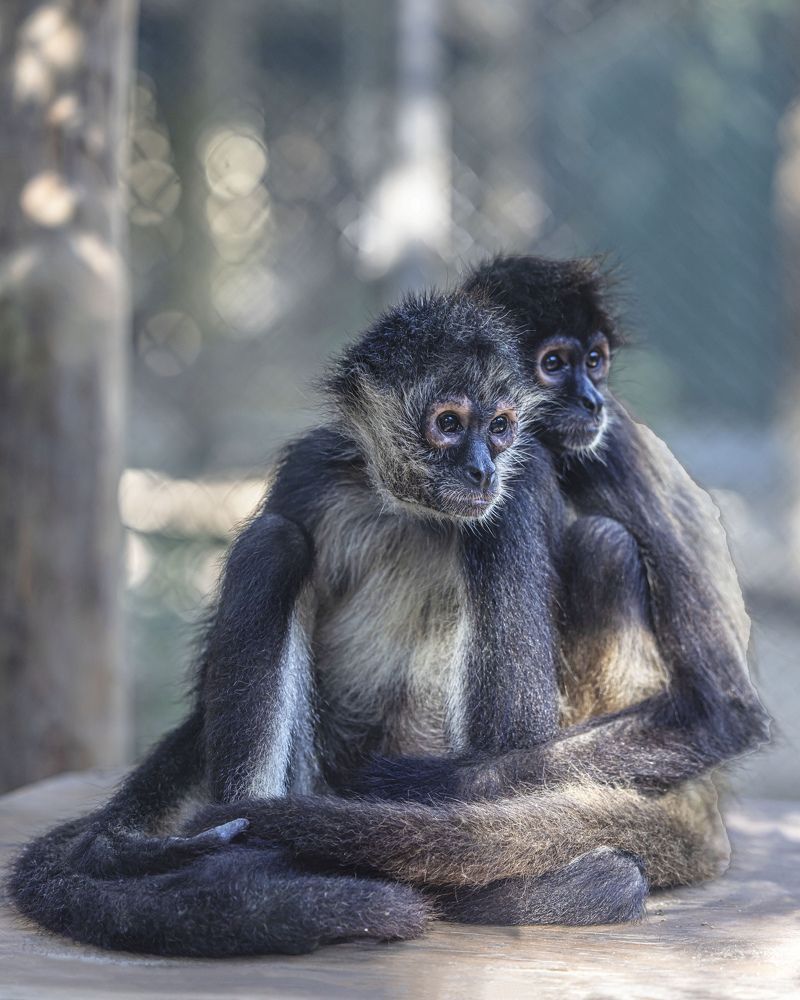 Фотография автора Clement Roy