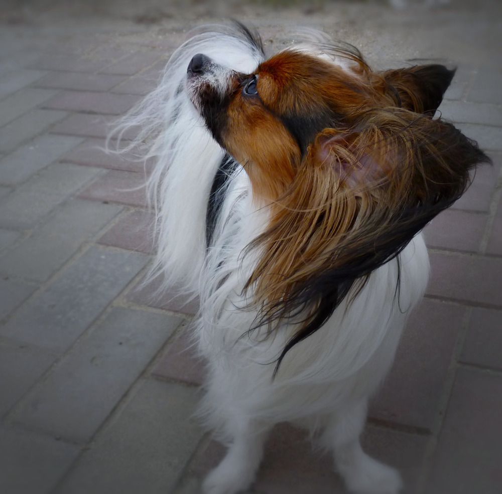 Photograph by Валерий Алфимов