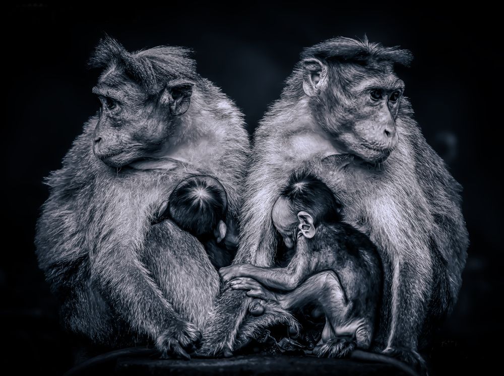 Children in the Embrace of Their Parents