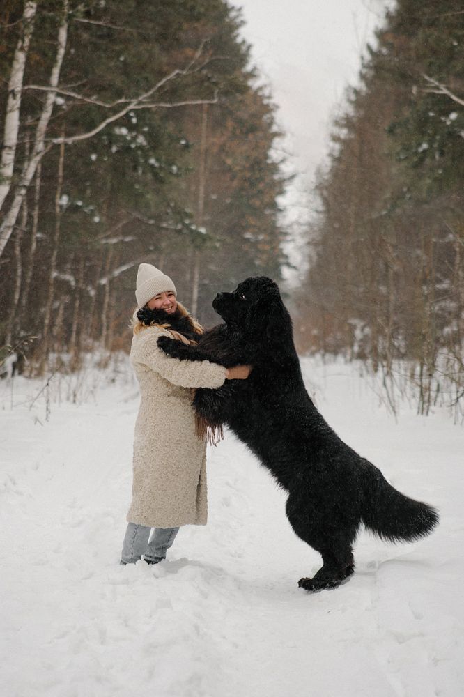 Photograph by Дарья Шишкова