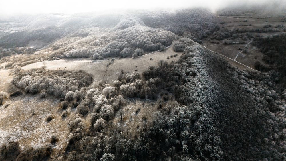 Фотография автора Цахилаев Таур