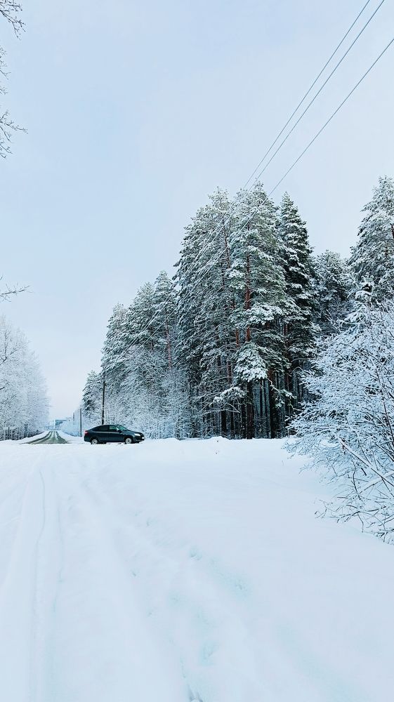 Photograph by Татьяна Пятернёва