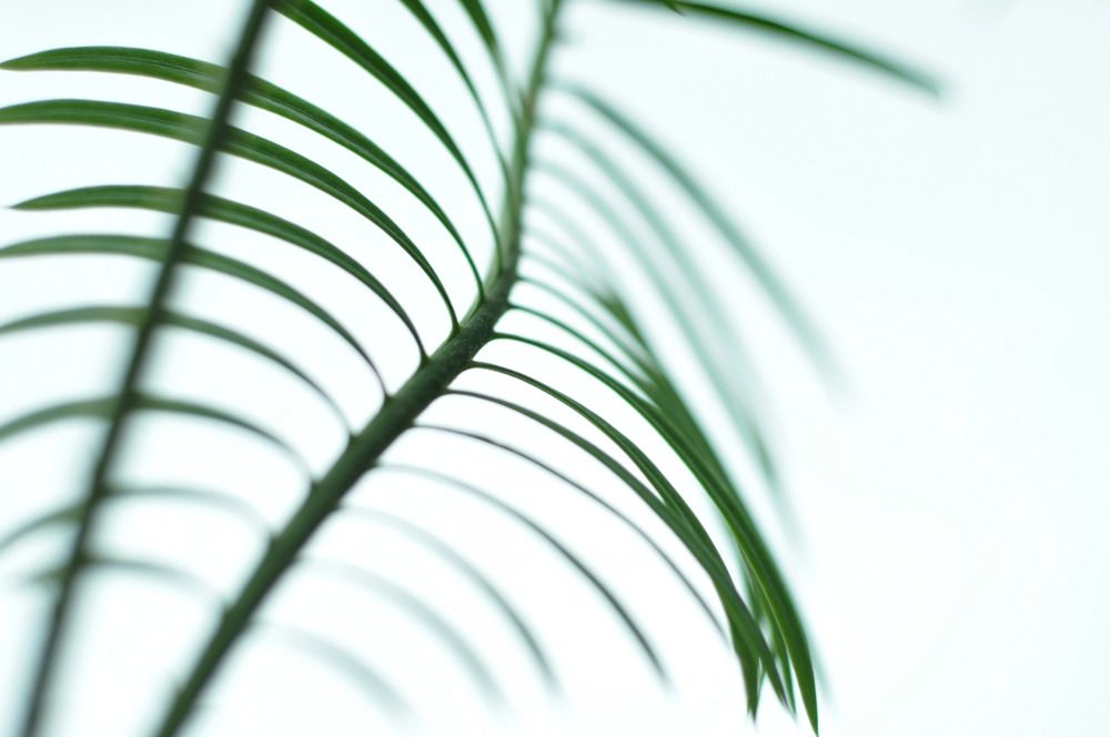 Фотография автора Кристина Киселёва