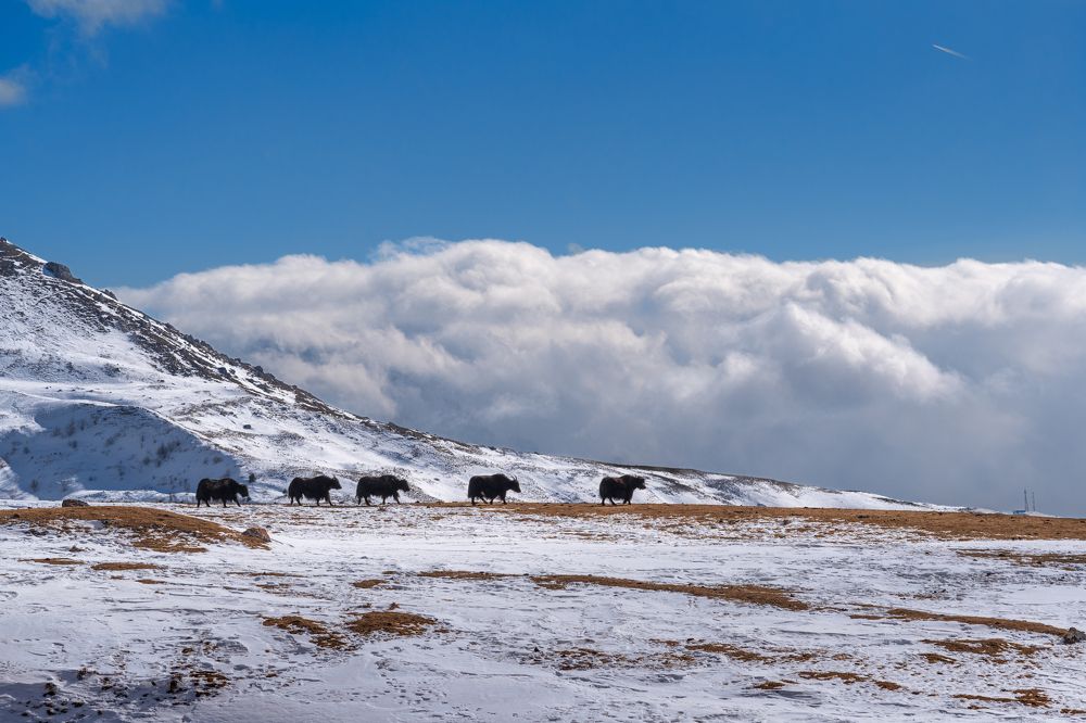 Фотография автора Олег Кожухов