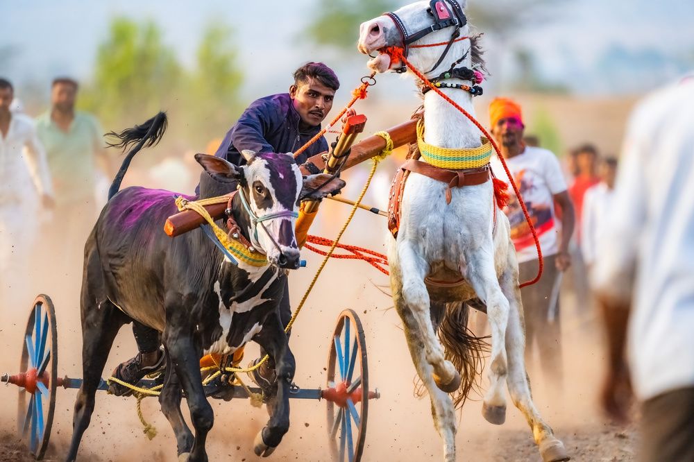 Photograph by Nitin Baste