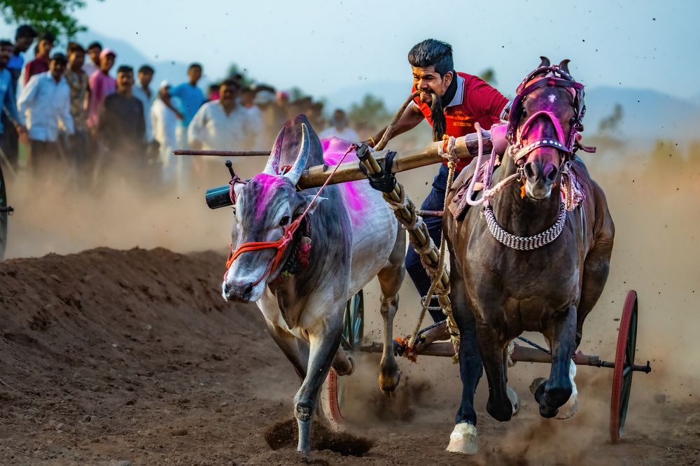 Photograph by Nitin Baste